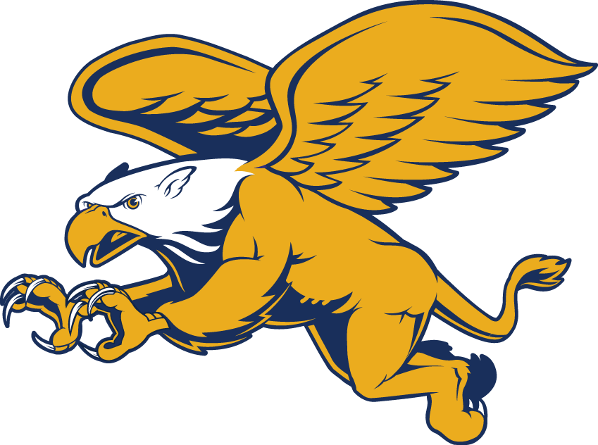 Canisius Golden Griffins 2006-Pres Secondary Logo iron on transfers for clothing